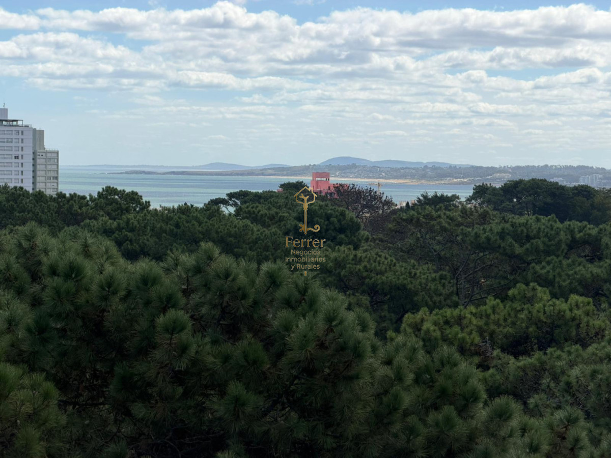 Apartamento ID.755 - Apartamento 2 dormitorios y medio -  piso alto PUNTA DEL ESTE