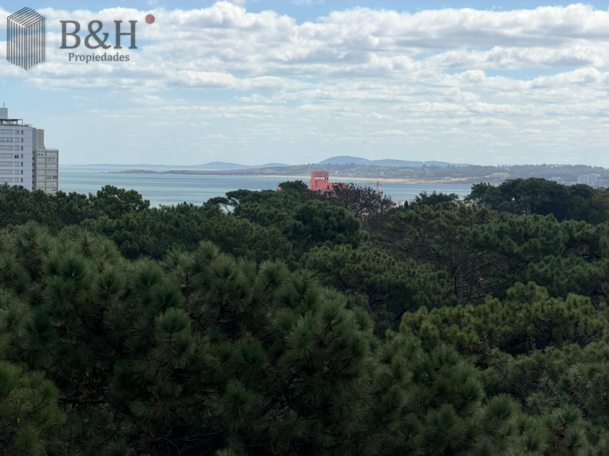 Apartamento ID.6123 - Apartamento 2 dormitorios y medio -  piso alto PUNTA DEL ESTE