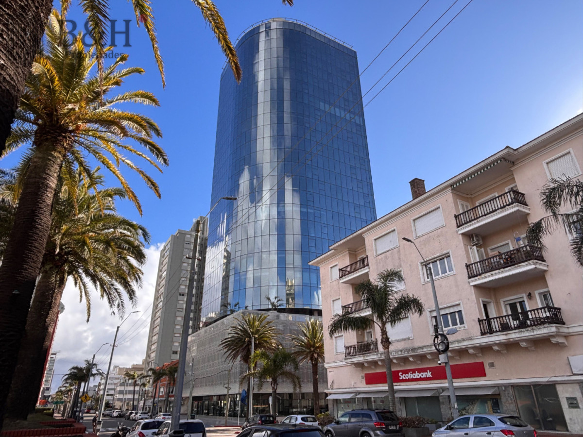 Apartamento ID.8110 - APARTAMENTO PENINSULA VENTA INVERSION
