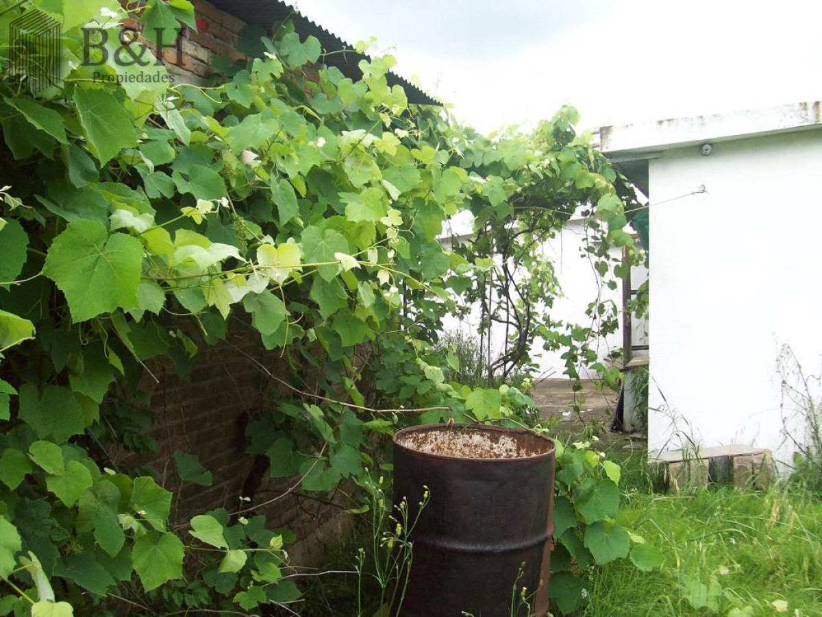 Casa ID.4729 - Casa de 3 dormitorios a la venta en Aigua - Maldonado 