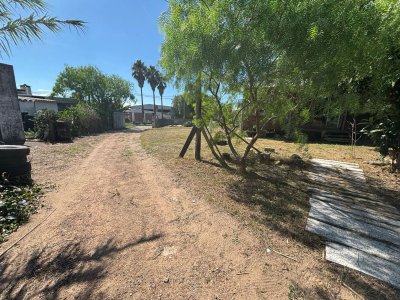 Galpón en alquiler y venta en el Centro de Maldonado 