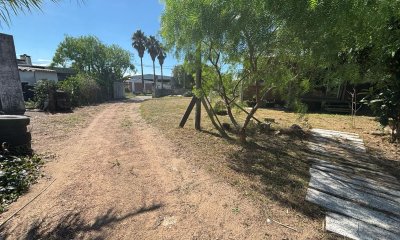 Galpón en alquiler y venta en el Centro de Maldonado