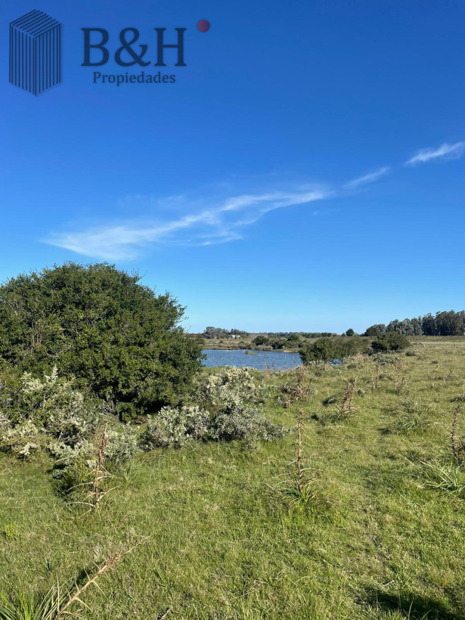 Chacra de 8 hectárea y media a la venta - José Ignacio - BYH4182H