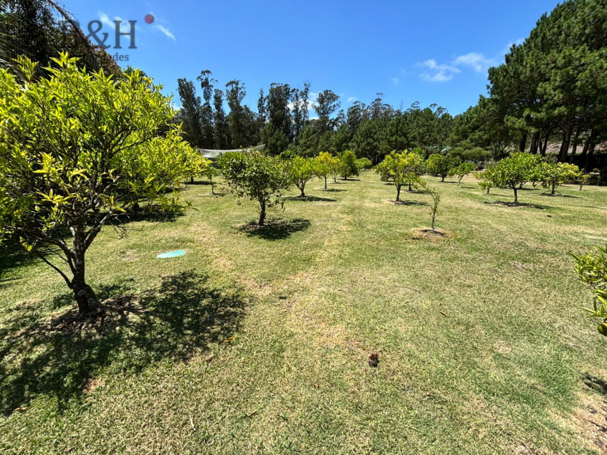 Chacra ID.5652 - ALQUILER CHACRA EN MANANTIALES