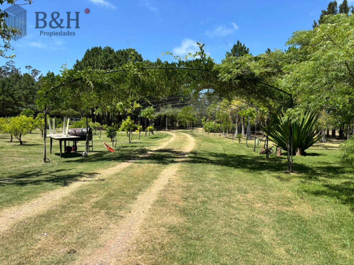 Chacra ID.5652 - ALQUILER CHACRA EN MANANTIALES