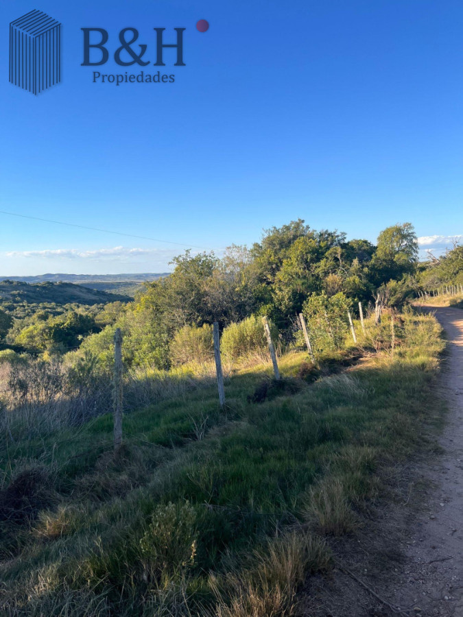 Chacra ID.7122 - Chacra en ruta 39 antes de Aigua