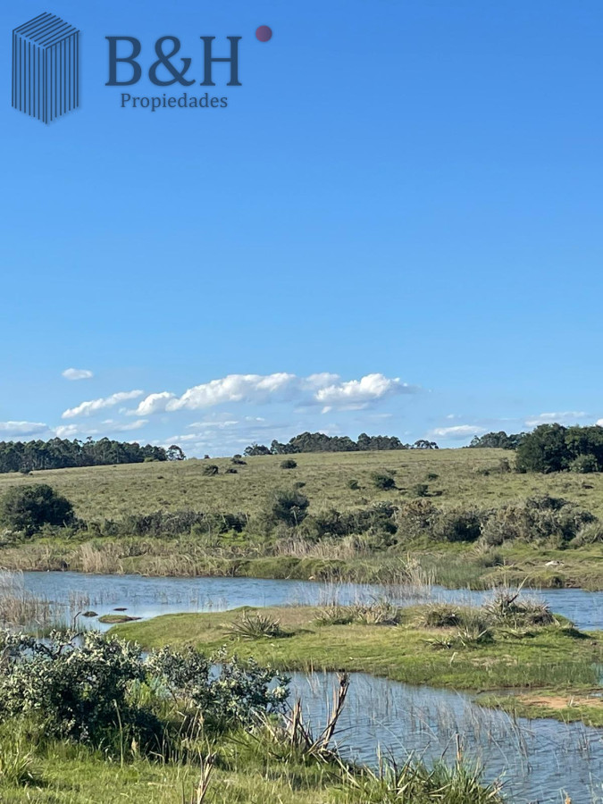Chacra ID.4182 - Chacra de 8 hectárea y media a la venta - José Ignacio