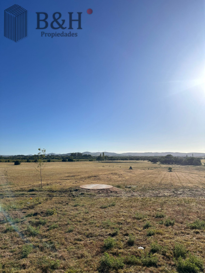 Chacra ID.6672 - Chacra de 12has en Ruta 12 Cerca de Pueblo Eden