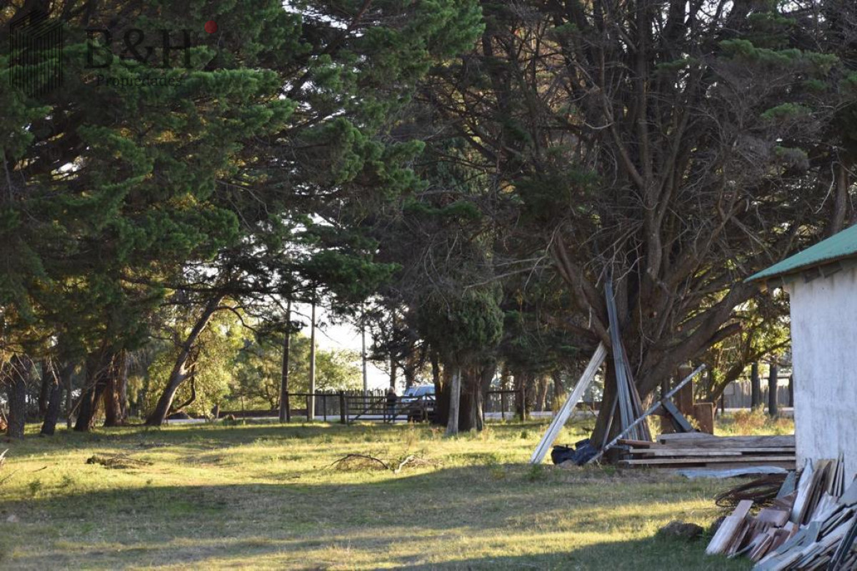 Manantiales - GoPunta - Portal Inmobiliario de Punta del Este - Maldonado