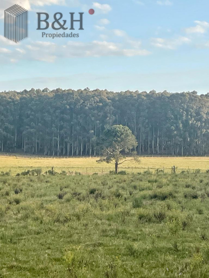 Chacra ID.4178 - Chacra de 13 hectáreas a la venta en Manantiales 