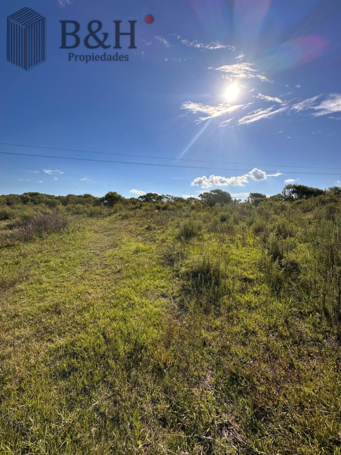 Punta Ballena - GoPunta - Portal Inmobiliario de Punta del Este - Maldonado