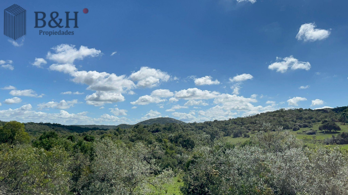 Chacra ID.7121 - Chacra en ruta 39 