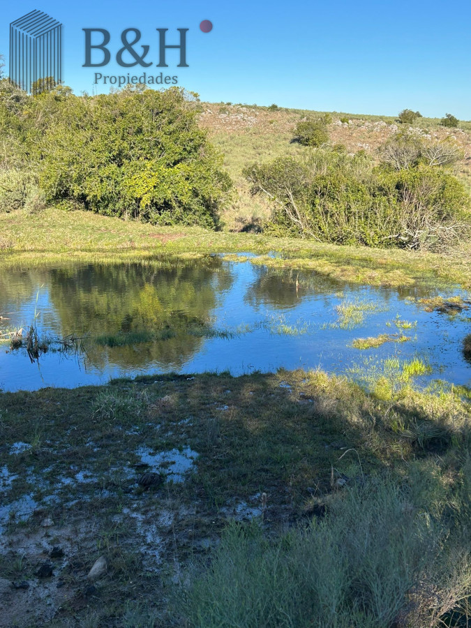 Chacra ID.6185 - Chacras en Pueblo Eden