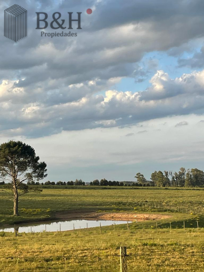 Chacra ID.4178 - Chacra de 13 hectáreas a la venta en Manantiales 