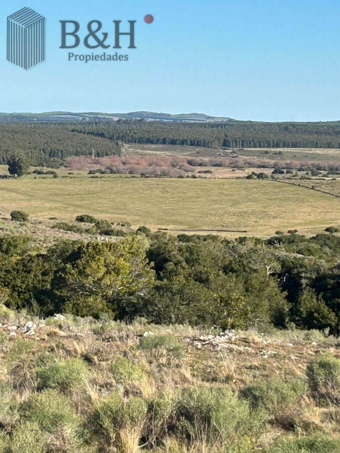 Chacra ID.6185 - Chacras en Pueblo Eden