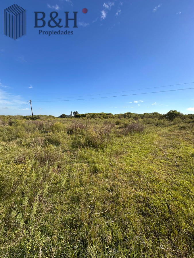 Punta Ballena - GoPunta - Portal Inmobiliario de Punta del Este - Maldonado