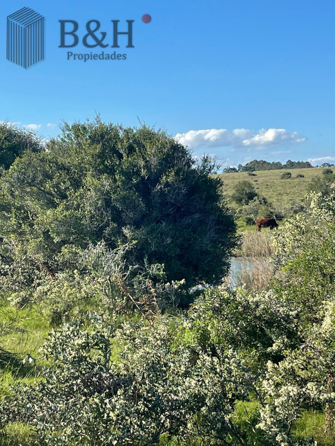 Chacra ID.4182 - Chacra de 8 hectárea y media a la venta - José Ignacio
