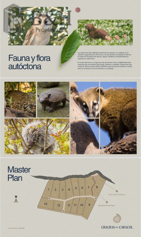 Chacra ID.5639 - Chacras de Caracol