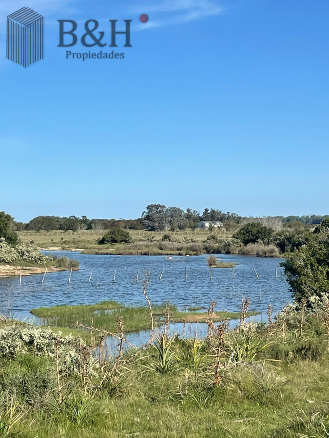 Chacra ID.4182 - Chacra de 8 hectárea y media a la venta - José Ignacio