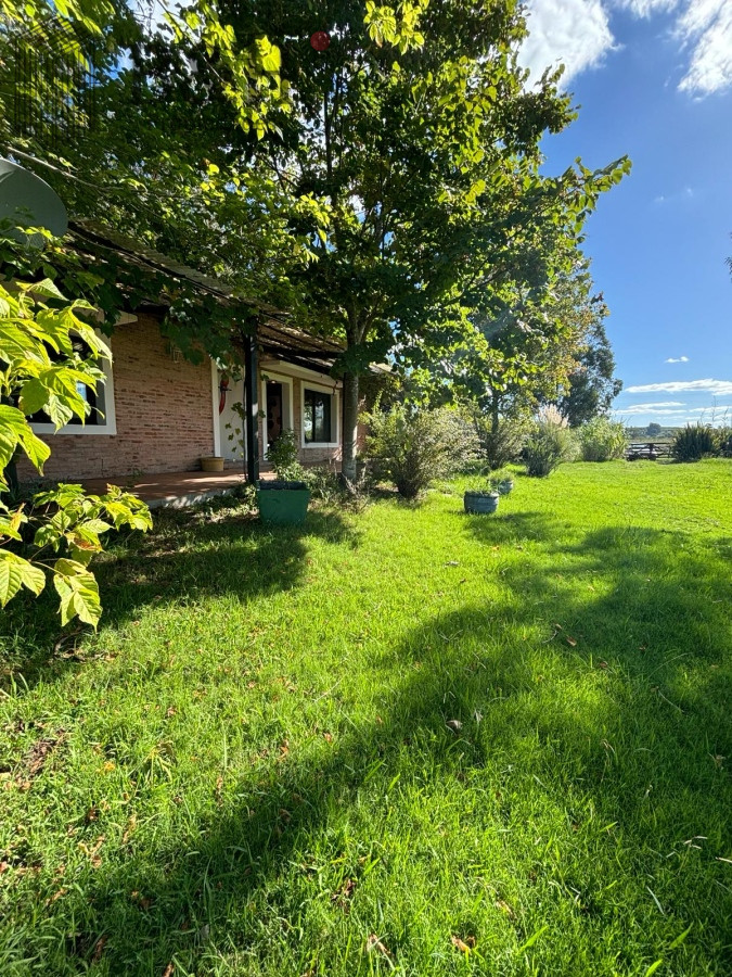 Camino de los Ceibos - GoPunta - Portal Inmobiliario de Punta del Este - Maldonado