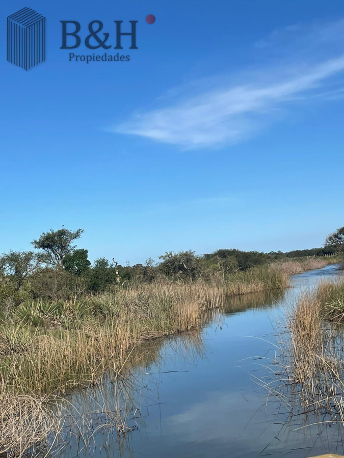 Chacra ID.4182 - Chacra de 8 hectárea y media a la venta - José Ignacio