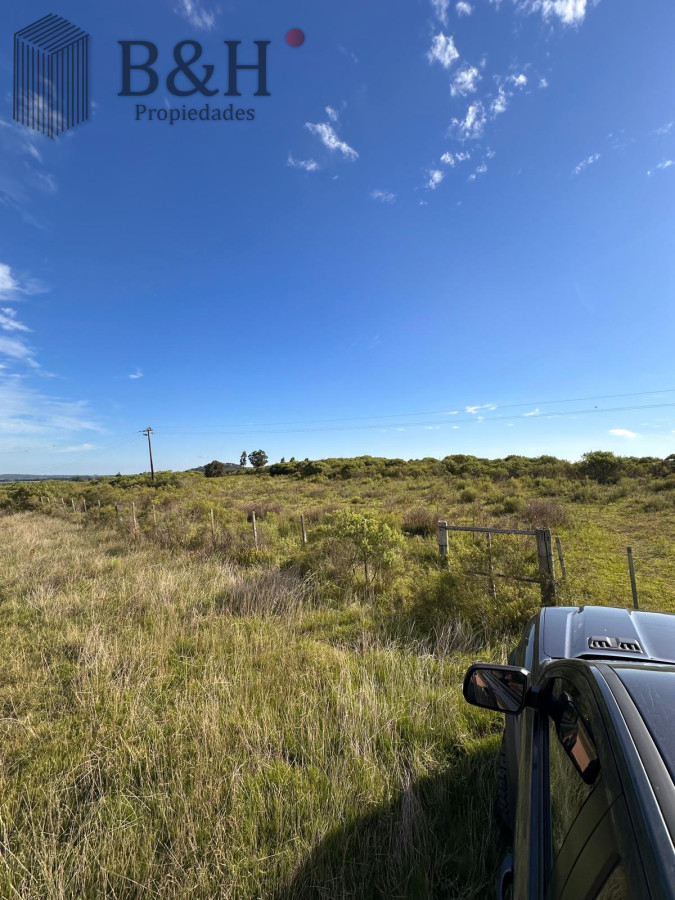 Punta Ballena - GoPunta - Portal Inmobiliario de Punta del Este - Maldonado