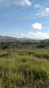 Chacra a la venta Sierra de los Caracoles