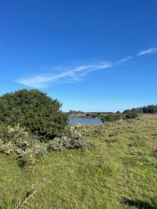 Chacra de 8 hectárea y media a la venta - José Ignacio