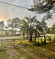 Chacra de 13 hectáreas a la venta en Manantiales