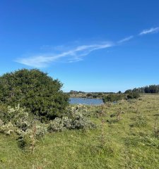 Chacra de 8 hectárea y media a la venta - José Ignacio