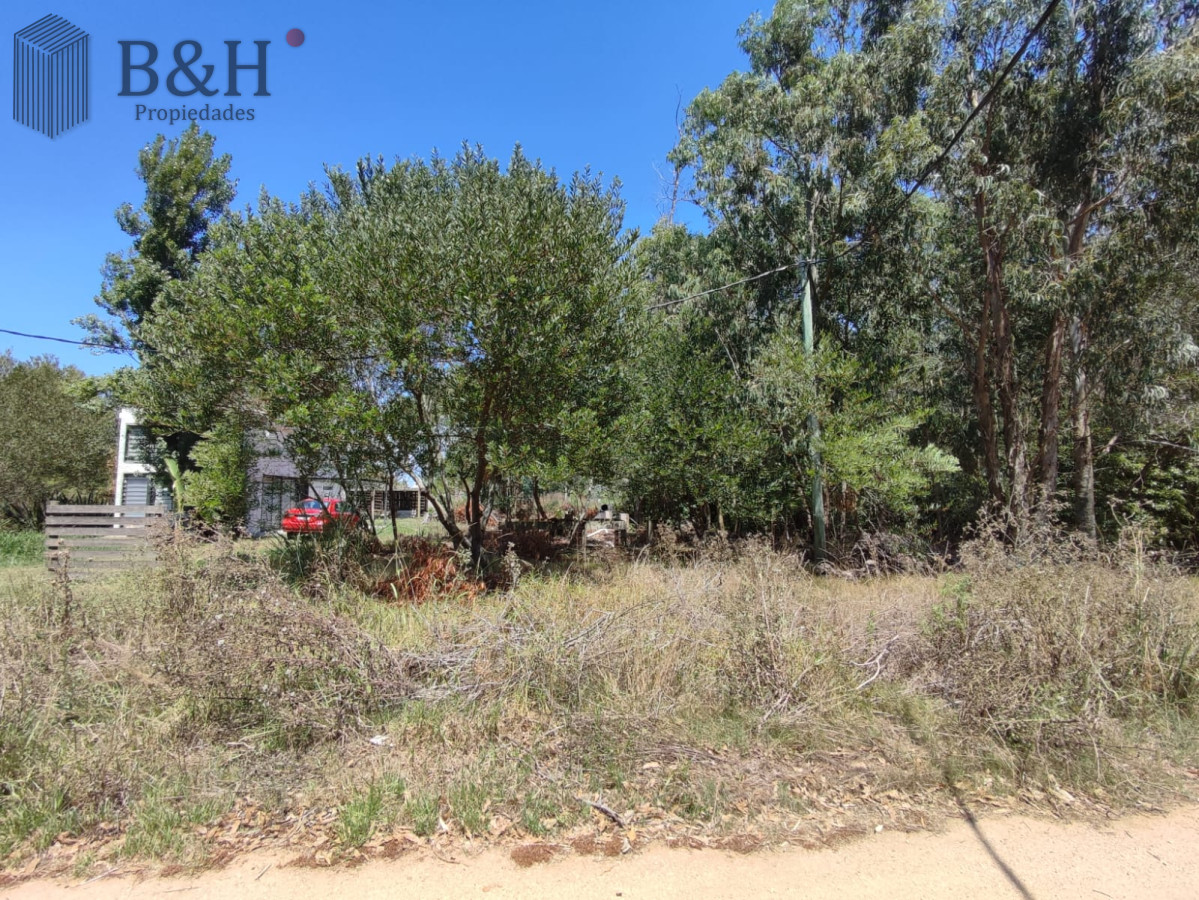 Santa Monica - GoPunta - Portal Inmobiliario de Punta del Este - Maldonado