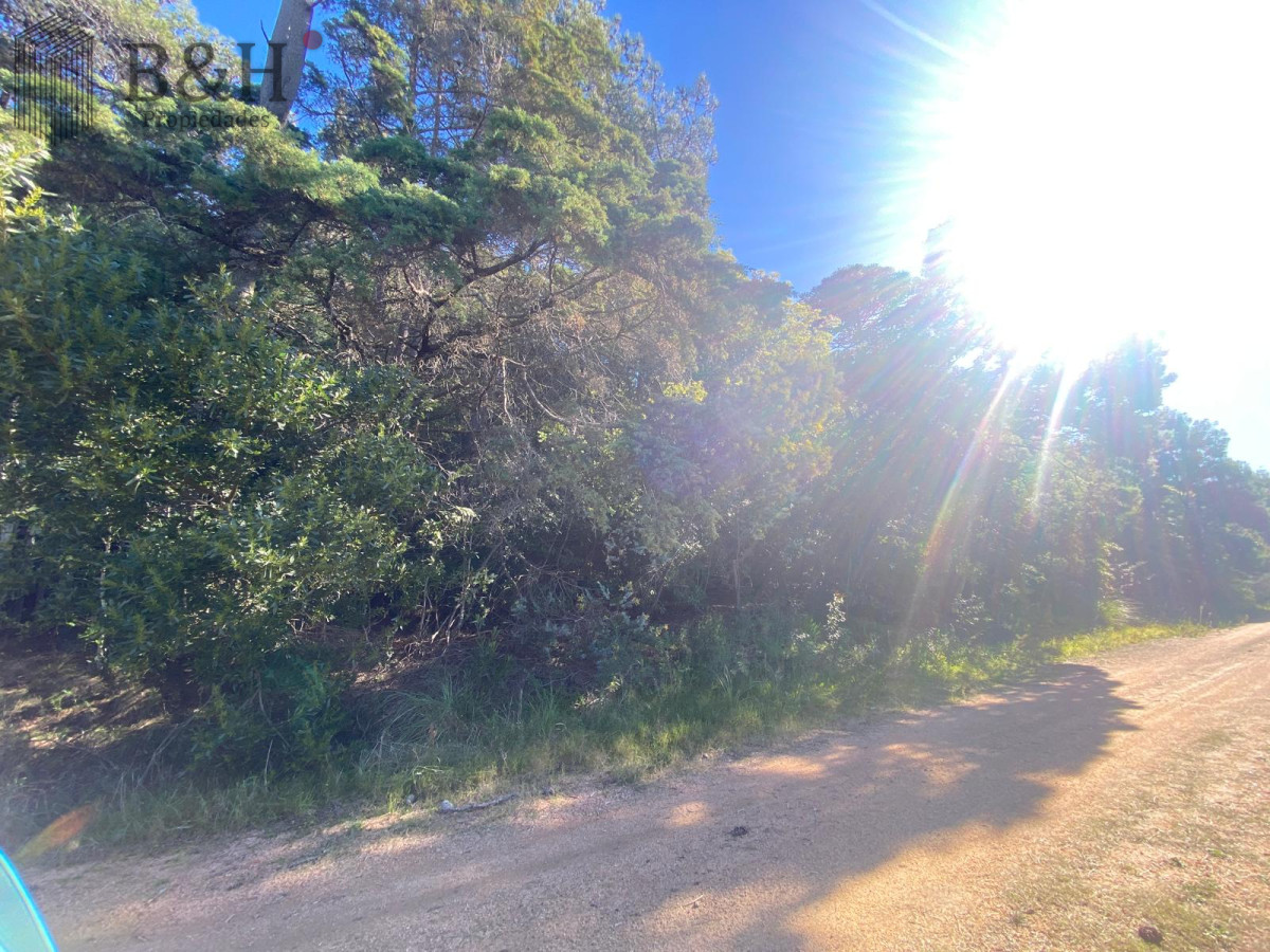 Terreno ID.5296 - Terreno a la venta - Punta Ballena 