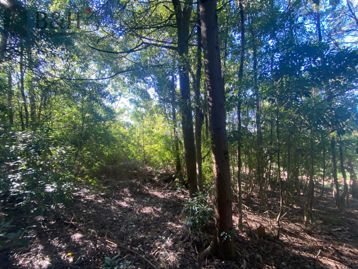 Terreno ID.5296 - Terreno a la venta - Punta Ballena 