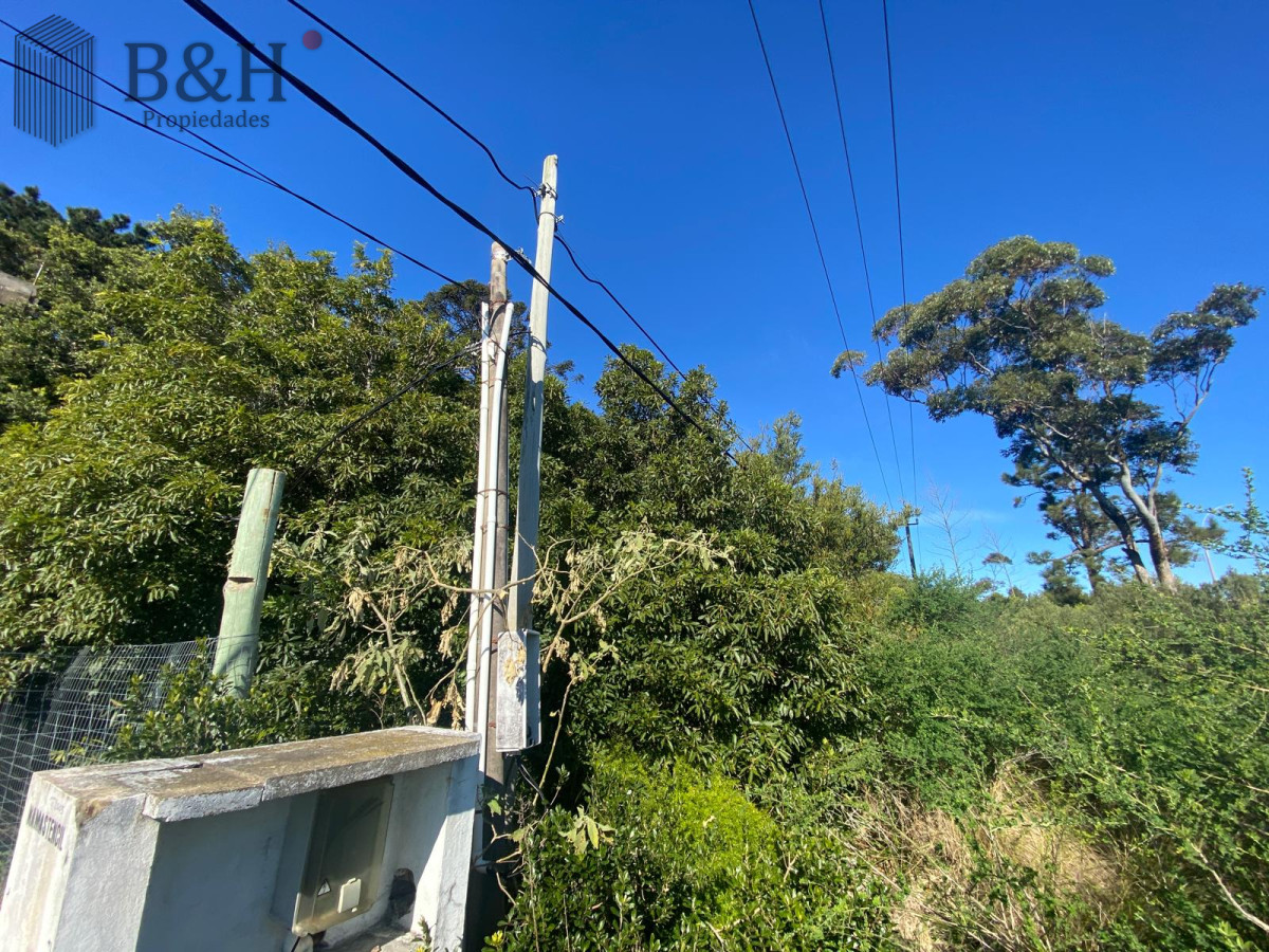 Lomo de la Ballena - GoPunta - Portal Inmobiliario de Punta del Este - Maldonado