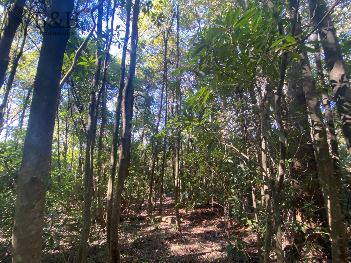 Terreno ID.5296 - Terreno a la venta - Punta Ballena 