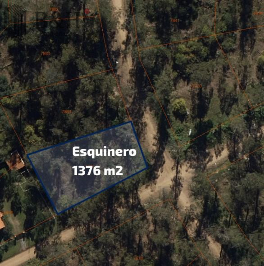 Marly - GoPunta - Portal Inmobiliario de Punta del Este - Maldonado