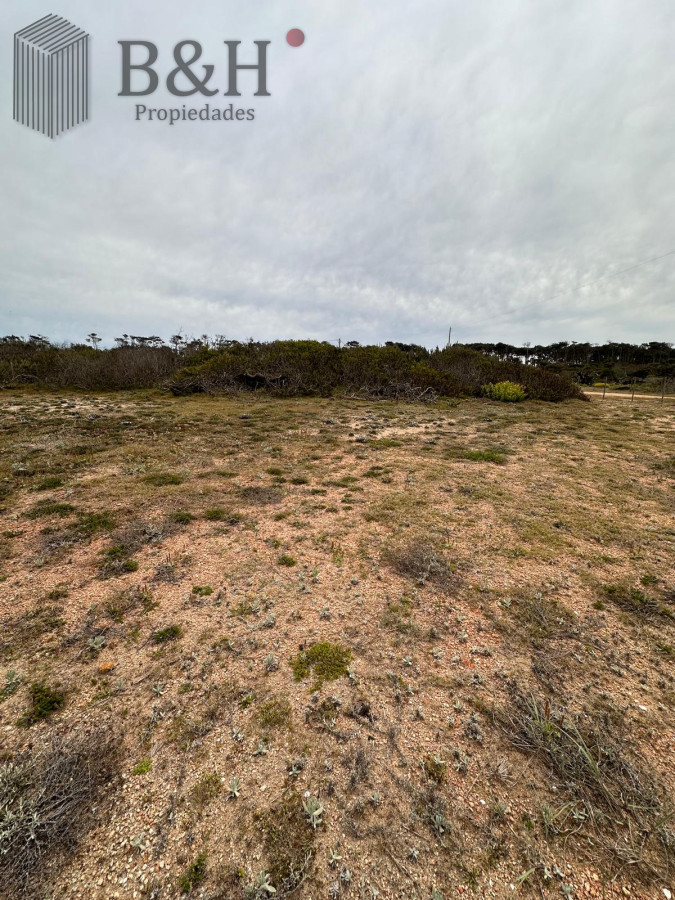 El Caracol - GoPunta - Portal Inmobiliario de Punta del Este - Maldonado
