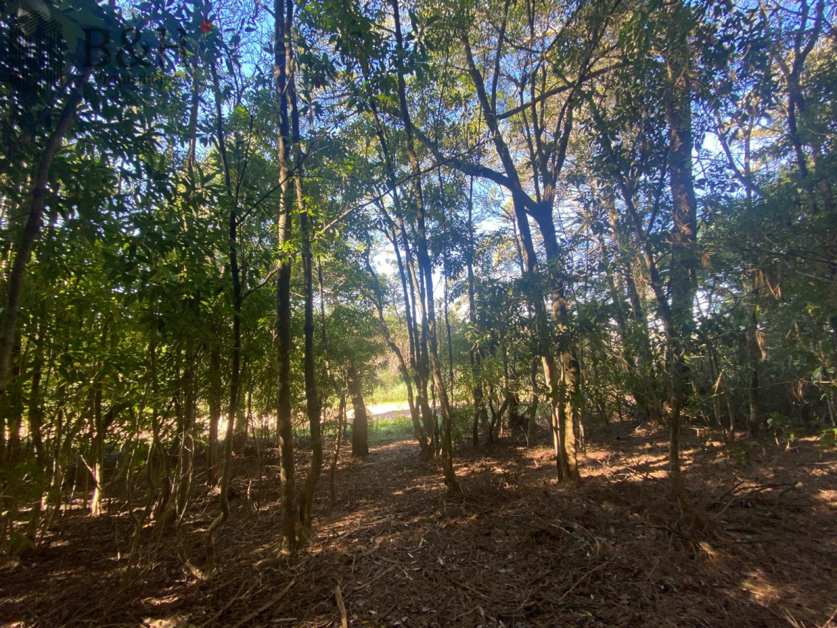 Terreno ID.5296 - Terreno a la venta - Punta Ballena 