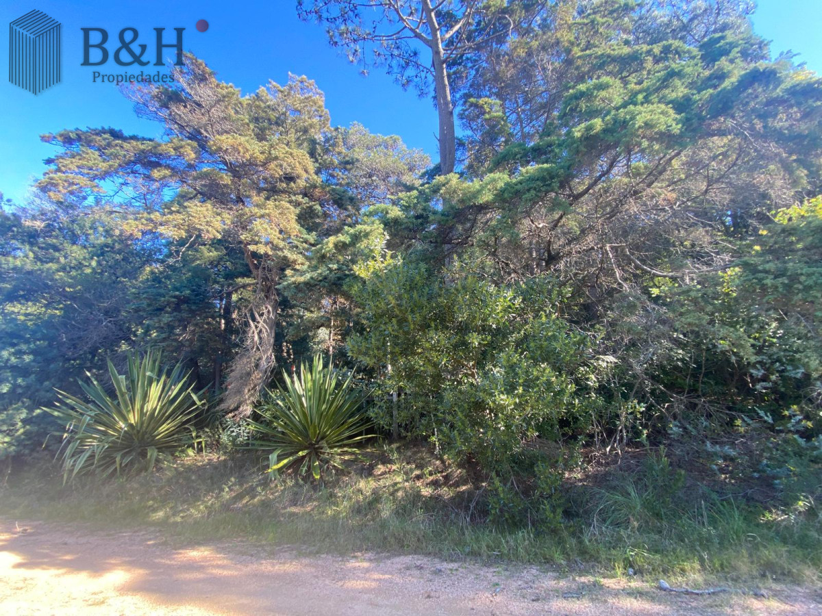 Terreno ID.5296 - Terreno a la venta - Punta Ballena 