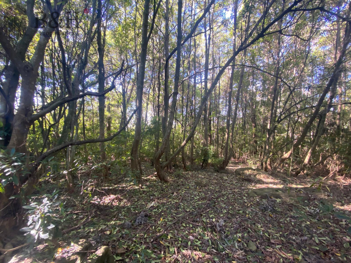 Terreno ID.5296 - Terreno a la venta - Punta Ballena 
