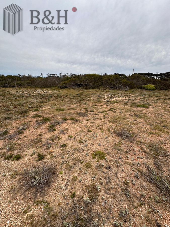 El Caracol - GoPunta - Portal Inmobiliario de Punta del Este - Maldonado