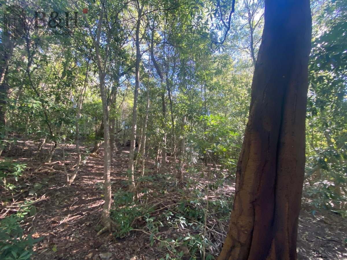 Terreno ID.5296 - Terreno a la venta - Punta Ballena 