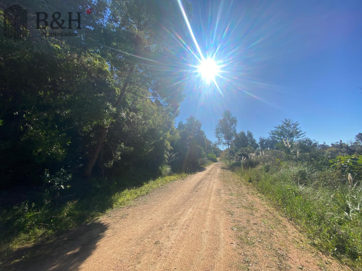 Terreno ID.5296 - Terreno a la venta - Punta Ballena 