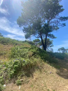Terreno en Rincón del Indio - Punta del Este 