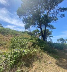 Terreno en Rincón del Indio - Punta del Este