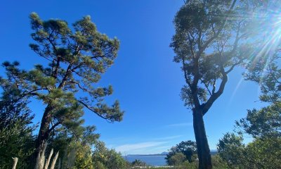 Terreno a la venta - Punta Ballena