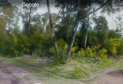 Terreno en Punta Ballena, Sauce de Portezuelo