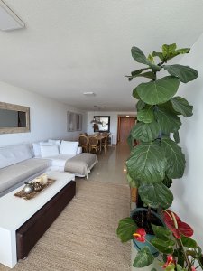 Alquiler Temporario Departamento Punta del Este Roosevelt