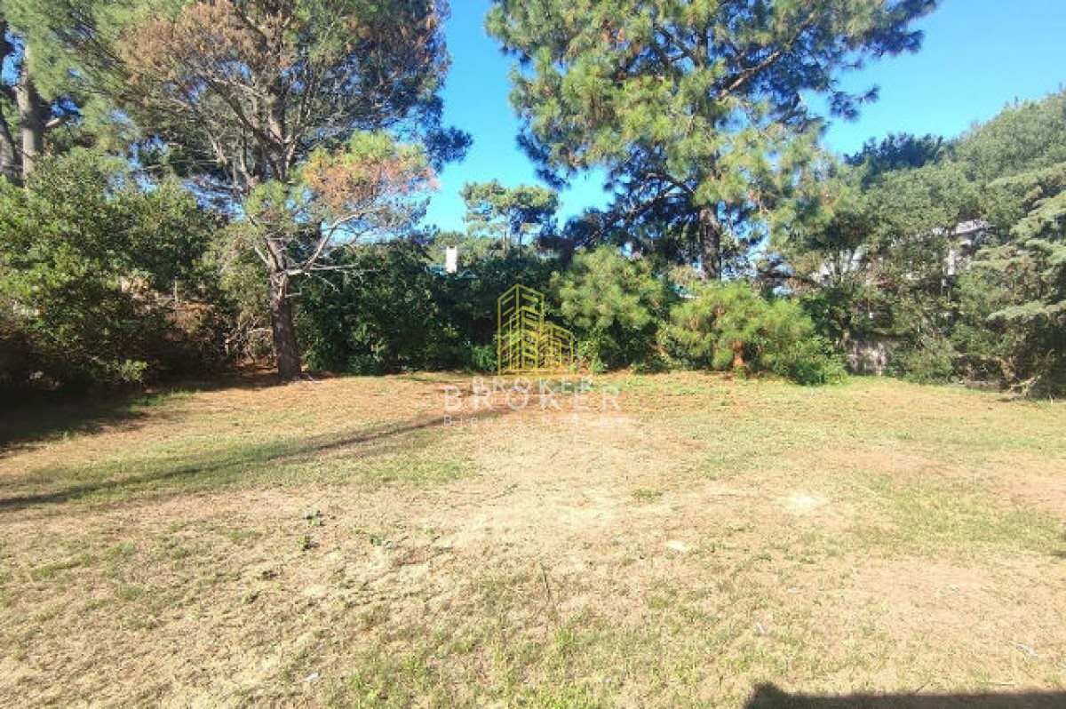 Casa ID.102/Venta_Casa_La_Barra_Punta_Del_Este_ - Venta Casa La Barra Punta Del Este 