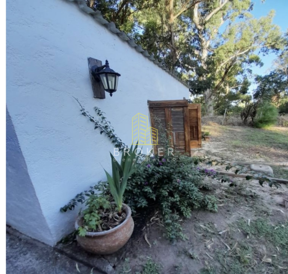 Casa ID.8547/Casa_en_Venta,_muy_buen_estado,_en_Punta_Ballena - Casa en Venta, muy buen estado, en Punta Ballena